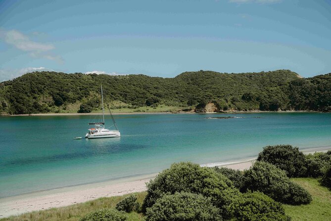 Private Luxury Sailing Catamaran Charter in the Bay of Islands - Who will enjoy this charter most