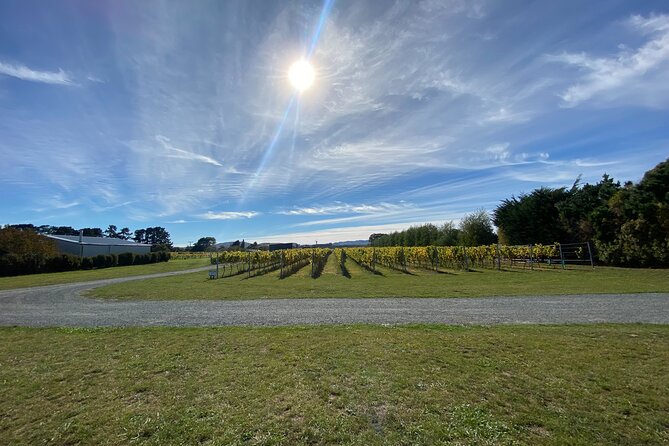 Private Martinborough Wine Tour for Wine Enthusiasts - Is NZ$217.20 good value?