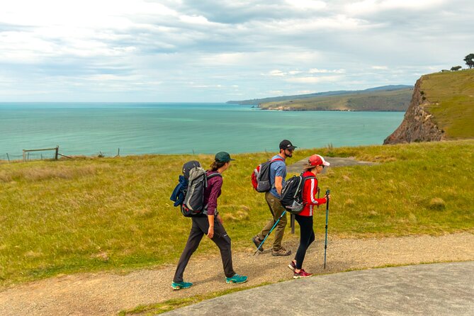 Private Mt Cook Day Tour From Christchurch via Lake Tekapo - Lake Tekapo in the Mackenzie Basin