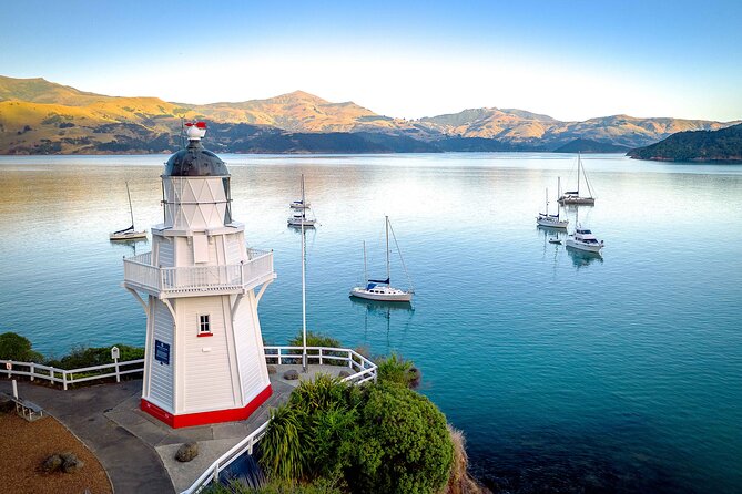 Private Mt Cook Day Tour From Christchurch via Lake Tekapo - What you get in the Mercedes Sprinter
