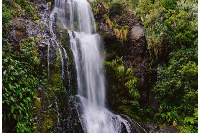 Private Piha Beach, Rainforest Adventure & Mt. Eden with Guide - Mercer Bay Loop brings the biggest coastal views