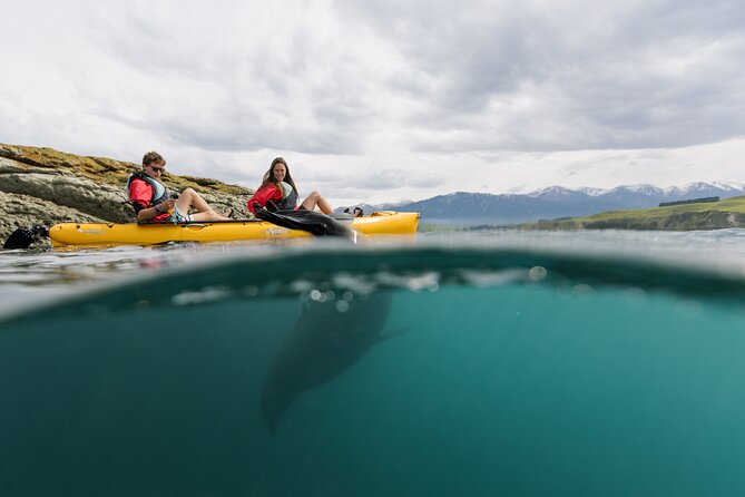 Private Seal Kayaking and Wildlife Tour in Kaikoura - Pedaling out toward the Peninsula Seal Colony
