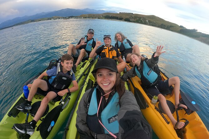 Private Seal Kayaking and Wildlife Tour in Kaikoura - What the gear and transport add to the $83.78 price