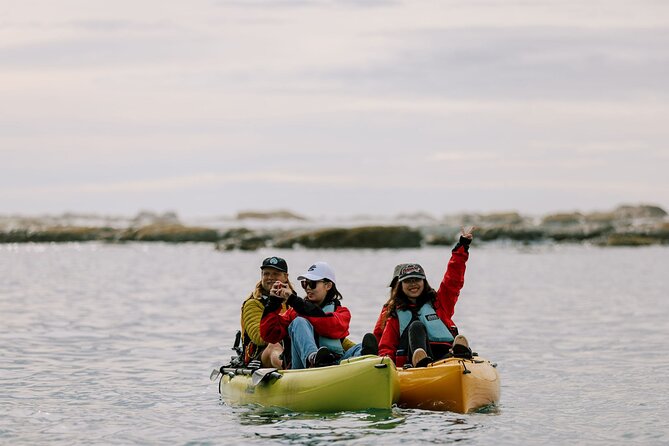 Private Seal Kayaking and Wildlife Tour in Kaikoura - The guide’s role, from local stories to sunset timing