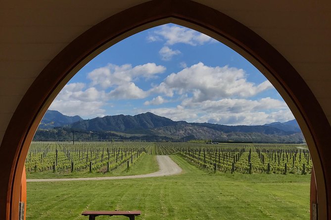 Private Shore Excursion: Explore Marlborough from Picton - Why a private Marlborough tour works well from Picton
