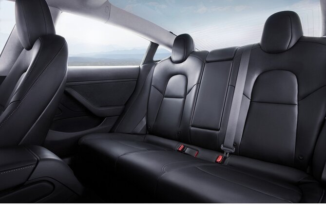 Private Tesla Transfer: Auckland, Tauranga, Rotorua, Taupo - A private way to leave Auckland