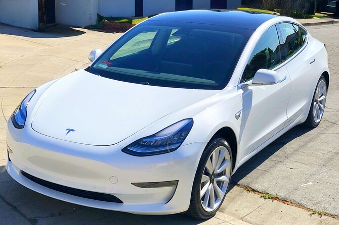 Private Tesla Transfer: Auckland, Tauranga, Rotorua, Taupo - What the $299 group fare really means