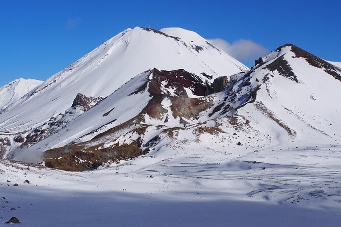Private Tongariro Crossing Guided Walk - Is $811.71 per person good value?
