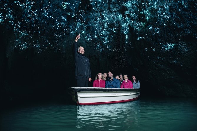 Private Tour [2 Days]: Auckland to Waitomo Caves, Rotorua, Te Puia & Wai-O-Tapu - What the price includes at $1,736.98 per person