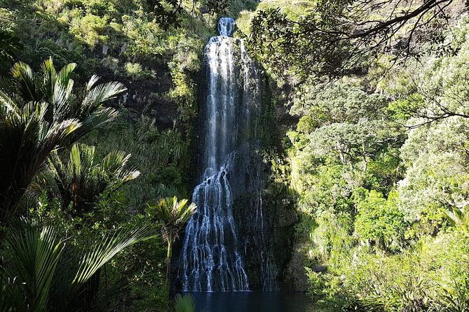 Private Tour: Auckland City and Countryside Tour - Beaches, waterfalls, and the route beyond the core itinerary
