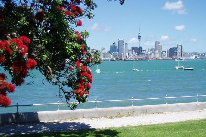 Private Tour: Auckland City and Countryside Tour - The guide makes or breaks the experience
