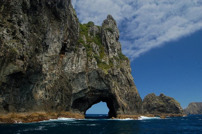 Private Tour: Bay of Islands Day Trip from Auckland - Haruru Falls and the approach to Paihia