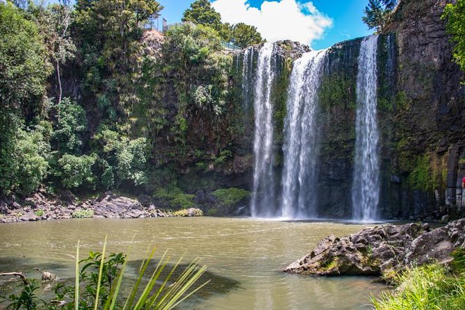 Private Tour: Bay of Islands Day Trip from Auckland - Who should book this Auckland day trip?