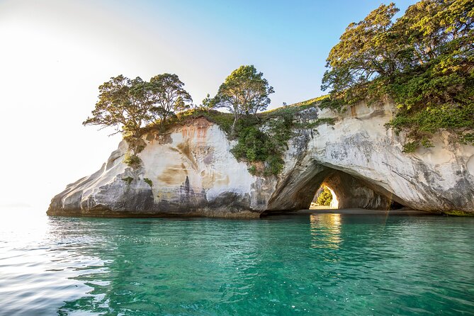 Private Tour - Coromandel Beach, Caves & Forest - Why this private Coromandel day is worth considering