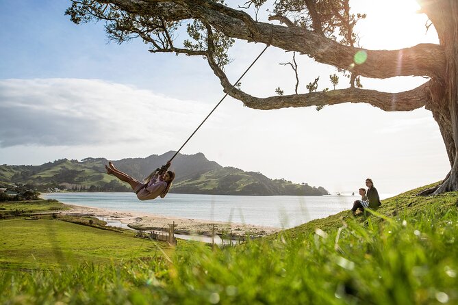 Private Tour - Coromandel Beach, Caves & Forest - Making your own spa at Hot Water Beach