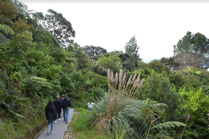 Private Tour - Coromandel Beach, Caves & Forest - Riding the Driving Creek mountain railway