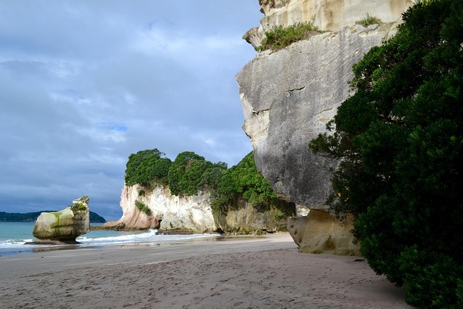 Private Tour - Coromandel Beach, Caves & Forest - The guide can shape the day