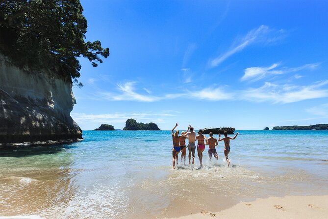 Private Tour - Coromandel Beach, Caves & Forest - The long day and what to pack