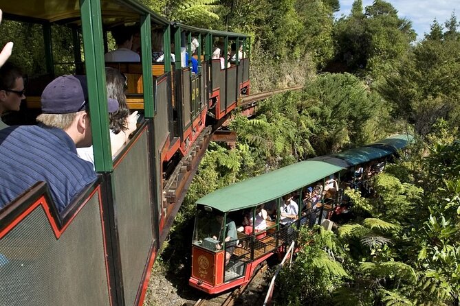 Private Tour - Coromandel Beach, Caves & Forest - Cruising toward Cathedral Cove
