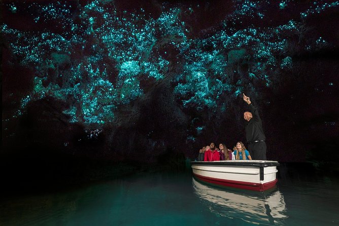 Private tour from Auckland - Waitomo Glowworm Caves, Zealong Tea & Kiwi Bird - Pickup, timing, and the road between Auckland and Waikato
