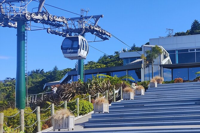 Private Tour: Hobbiton Movie Set, Rotorua Mud Pool & Treewalk - Who should book this Auckland day trip?