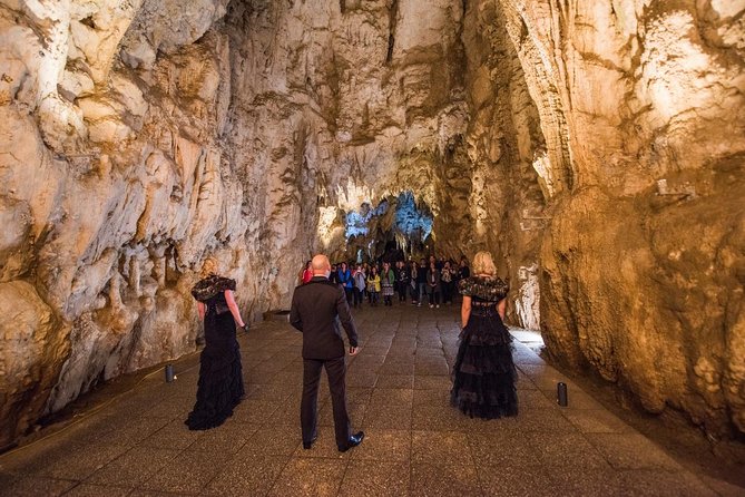 Private Tour: Hobbiton & Waitomo Glowworm Cave Experience - The long return to Auckland