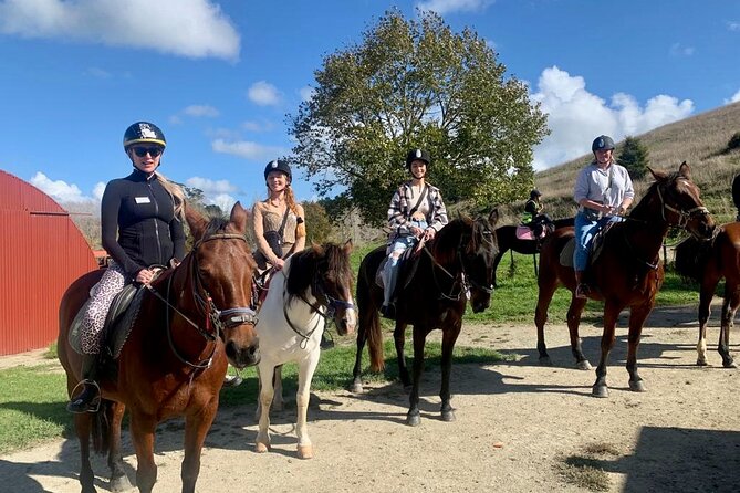 Private Tour - Horse Riding, Wine Tasting and Art Trail - From Auckland streets to the countryside