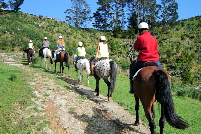 Private Tour - Horse Riding, Wine Tasting and Art Trail - Should you book this private tour?