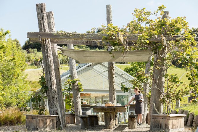 Private Tour - Horse Riding, Wine Tasting and Art Trail - Wine tasting and lunch in the countryside