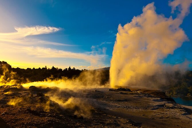 Private Tour - Rotorua Adventures Day Trip From Auckland - Who Should Book This Rotorua Day Trip?
