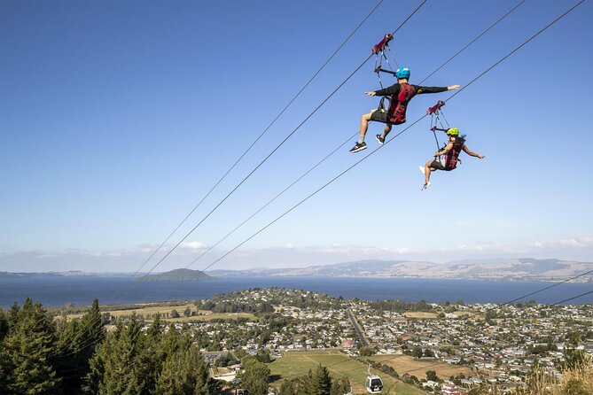 Private Tour - Rotorua Adventures Day Trip From Auckland - Three Hours Among Animals at the Agrodome