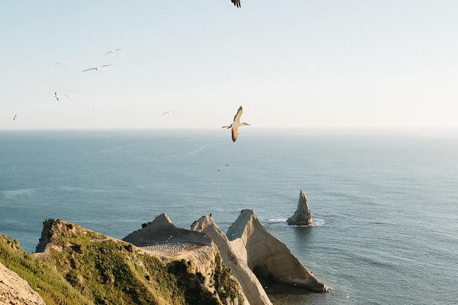 Private tour to Cape Kidnappers Gannet Colony - Reaching Cape Kidnappers by private 4WD