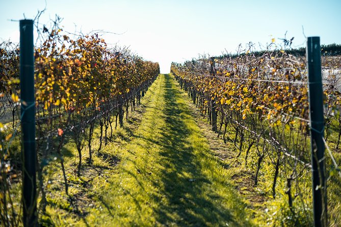 Private Tour - Waiheke Island Luxury Experience - Six hours to enjoy Waiheke Island