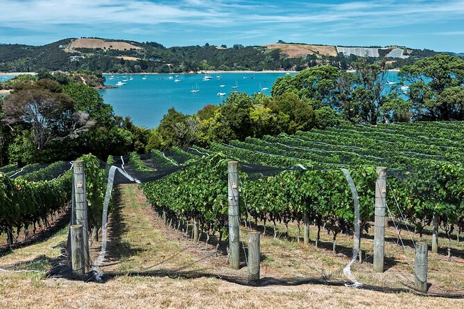 Private Tour - Waiheke Island Luxury Experience - Lunch by the beach, or a restaurant stop