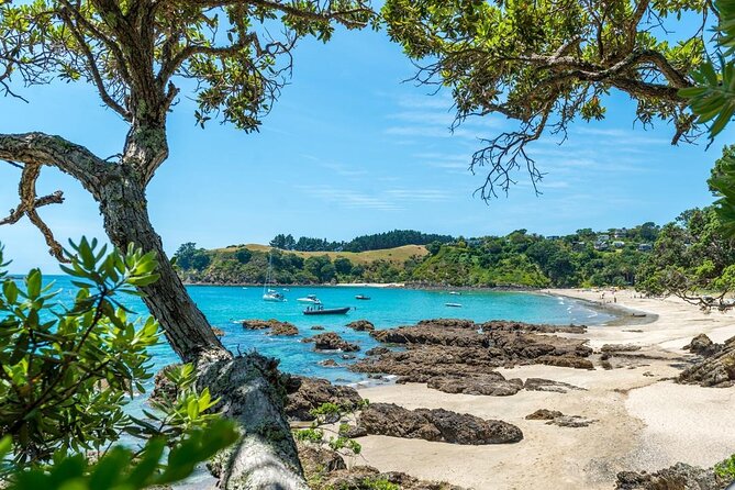 Private Tour - Waiheke Island Luxury Experience - A private guide instead of a fixed group
