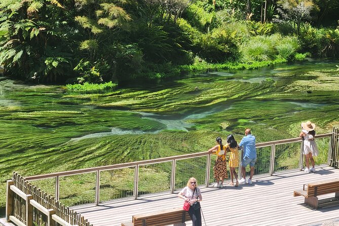 Private Tour WaiOtapu & Huka Falls & Blue springs from Auckland - Auckland to Rotorua, three hours on the road