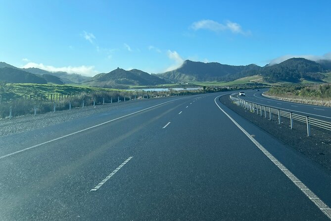 Private Transfer From Auckland Airport To Hamilton - A smooth start from Auckland Airport