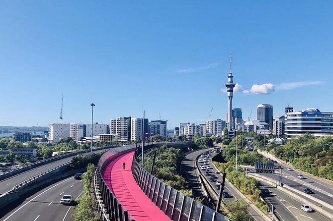 Private Transfer From Auckland Airport To Hamilton - Why the private group price can make sense