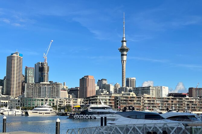 Private Transfer From Auckland Airport To Rotorua - Is $372.34 good value?