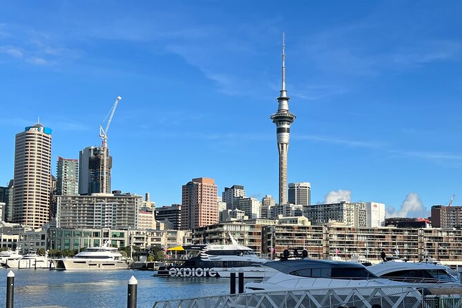 Private Transfer From Auckland City To Auckland Airport - What happens from pickup to terminal