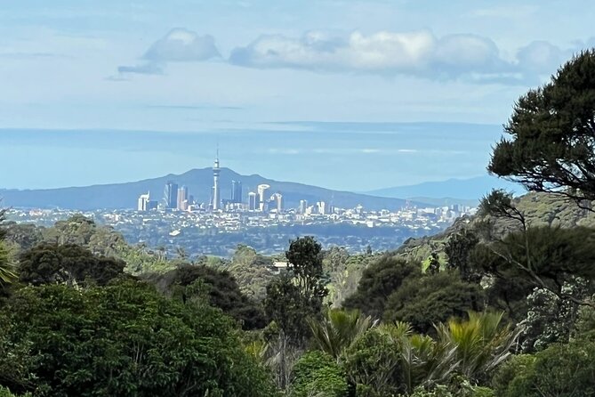 Private Transfer From Auckland International Airport To Auckland City - Who gets the best value from €62.78