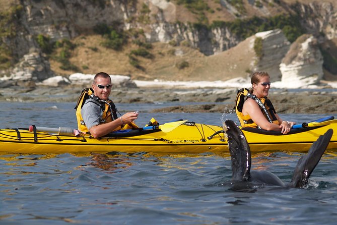 Private Wildlife Kayaking Tour - Kaikoura - Why Kaikoura is such a good place for a wildlife paddle