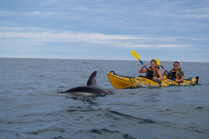 Private Wildlife Kayaking Tour - Kaikoura - Who will enjoy this tour most