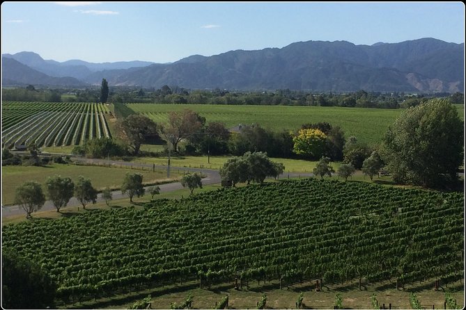Private Wine Gourmet and Scenic Delights Tour from Picton - A private day across Marlborough’s wine country