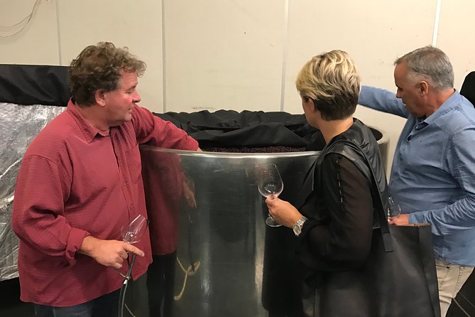 Private Wine Gourmet and Scenic Delights Tour from Picton - The Marlborough Sounds scenic drive