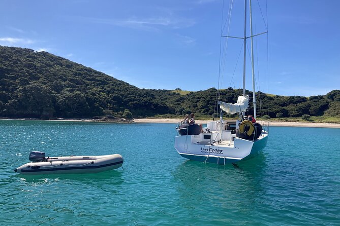 Private Yacht Charter and Island Excursions in the Bay of Islands - Paddleboards, snorkeling, or the first sandy beach