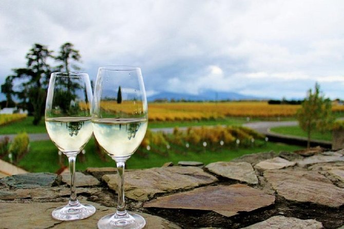 Progressive Wine and Gourmet Trail of Marlborough - Key points at a glance