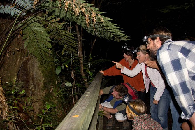 Puketi Rainforest Guided Walks .This is not a Shore Excursion product . - Key Points Before You Book