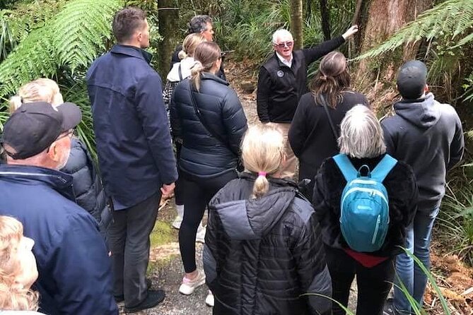 Punakaiki Blow Holes & Pancake Rocks Scenic Tour - The guide can shape the experience