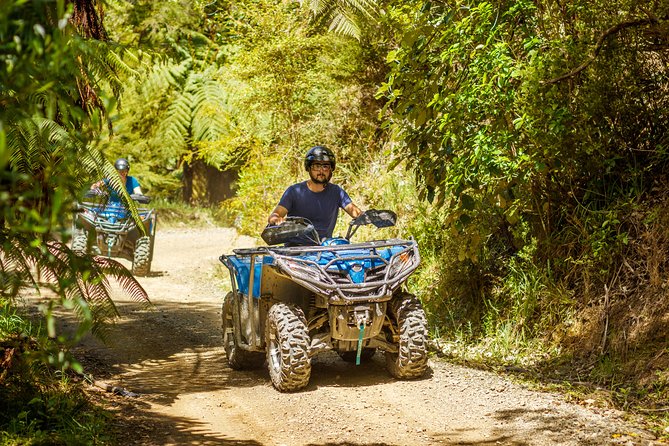 Quad Bike - Bayview Circuit - Through native forest and farm tracks